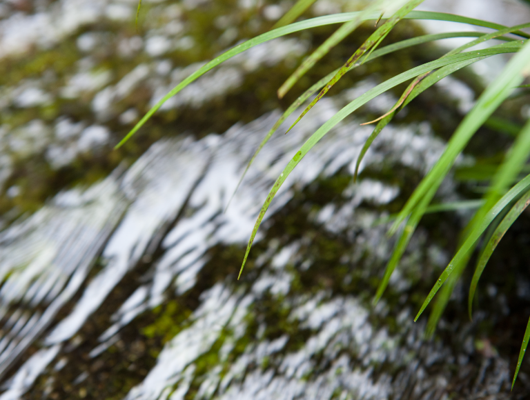 セレクトショップ